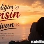 Sevdiğim Sensin Civan Kimdir? Hikayesi, Nilüfer Aşkı ve Sezon Finali 2026